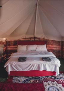 Ảnh trong thư viện ảnh của AL-ARJA camp ở Badīyah