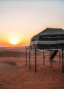 Ảnh trong thư viện ảnh của AL-ARJA camp ở Badīyah