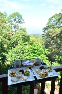 Jídlo v kempu nebo okolí