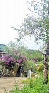 Fotografie z fotogalerie ubytování Nhà nắng xinh v destinaci Ấp Ða Lợi