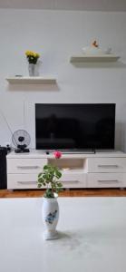 a flower in a vase in front of a tv at Modern Spacious ViS Raska Apartment! 5min Cafes in Raška +29 photos