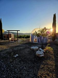 a dome tent with a tree and a bench at Stargazing Retreats Homestay in Camp Verde