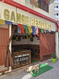 Un perro acostado sobre una alfombra verde frente a una residencia de garaje. en Aradhya Gange Residency, en Rishīkesh