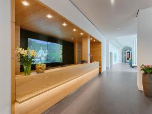 TV a/nebo společenská místnost v ubytování Hotel Elbresidenz an der Therme