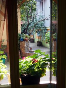 una ventana con vistas al jardín en Guest Accommodation Etno Konak Tašana, en Niš
