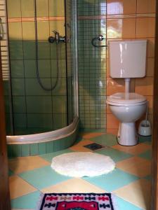 a bathroom with a toilet and a shower and a rug at Guest Accommodation Etno Konak Tašana in Niš