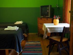 TV a/nebo společenská místnost v ubytování Guest Accommodation Etno Konak Tašana