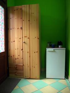 a green kitchen with a refrigerator and a green wall at Guest Accommodation Etno Konak Tašana in Niš