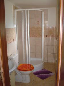 a bathroom with a shower with a toilet and a sink at Chata Posudov - Lipno in Frymburk