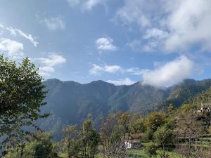 Příroda nedaleko penzionu