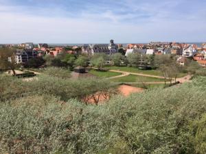 Blick auf einen Park mit einer Stadt im Hintergrund in der Unterkunft Villa Estee in De Haan