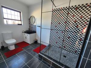 a bathroom with a shower and a toilet at Alcyone in Gqeberha