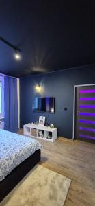 Μια τηλεόραση ή/και κέντρο ψυχαγωγίας στο Apartament Na Rynku