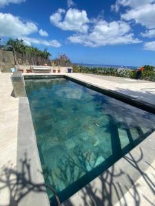 Πισίνα στο ή κοντά στο La Croix du Sud appartment