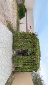 Φωτογραφία από το άλμπουμ του شاليه σε Al Halālīyah +4 φωτογραφίες