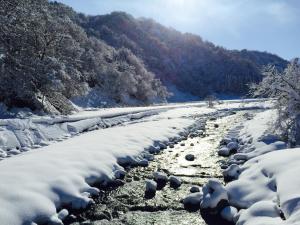Φυσικό τοπίο κοντά σε αυτός ο ξενώνας