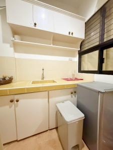 伊洛伊洛Chez Mathilds的带水槽和马桶的小厨房