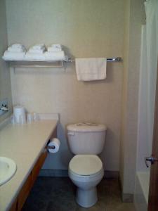 La salle de bains est pourvue de toilettes et d'un lavabo. dans l'établissement Carriage House Motor Inn, à Lake Placid