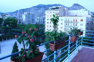 a balcony with potted plants on a blue railing at Esedra B&B in Palermo
