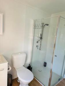 een witte badkamer met toilet en douche bij Modern Rustic Backyard Studio Private & Cosy Retreat in Mount Tamborine