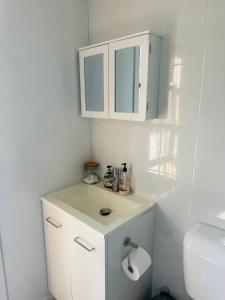 een witte badkamer met een wastafel en een toilet bij Modern Rustic Backyard Studio Private & Cosy Retreat in Mount Tamborine +1 foto