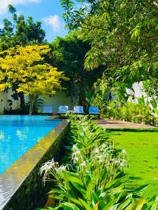 a swimming pool in a garden with two blue chairs at Beverly Beach Mirissa in Mirissa