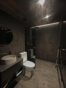 Un baño con inodoro, lavabo y ducha. en Raitola Reindeer and Husky Farm- Panorama Lodges, en Rovaniemi