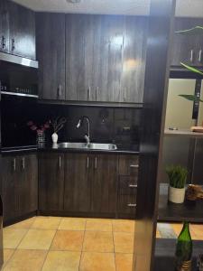 a kitchen with wooden cabinets and a sink at aparhotel 1309 in Guatemala +13 photos