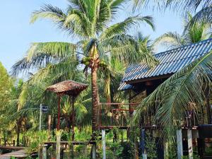a palm tree in front of a resort with a building at Cheewatra Farmstay Coconut House in Ban Tha Maphrao