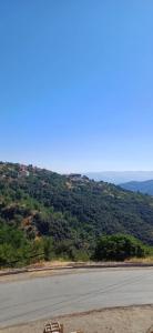 Naturlandskabet i nærheden af lejligheden