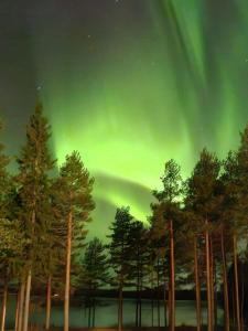 an aurora in the sky over trees and water at House in Finnish Lapland in Kemijärvi