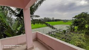 Phong cảnh thiên nhiên gần nhà khách