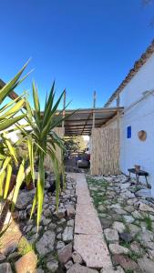 a house with a palm tree and a stone walkway at GP Cortijo Palmera 