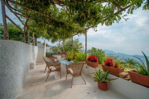 Terrasse ou espace extérieur de l'établissement La Casa dell'Ulivo