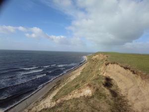 an aerial view of the ocean and a beach at Ales BnB in Löderup