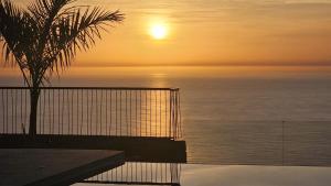 Příroda nedaleko vily