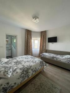 a bedroom with two beds and a flat screen tv at Pensiunea CAV in Novaci