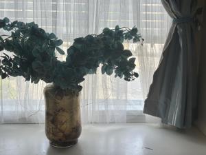 Gallery image of Lucky Home in Coquitlam +1 photo