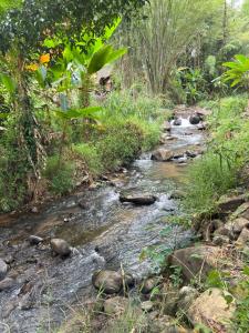 una corriente de agua con rocas en un bosque en Baan Pai Likit, en Pai 31 fotos más
