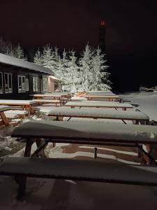 Chata Maxe Švabinského v zimě