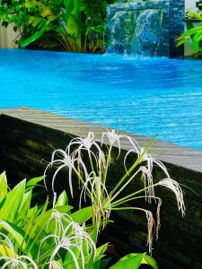 Fotografie z fotogalerie ubytování Beverly Beach Mirissa v Mirisse (jih) + 68 fotografií