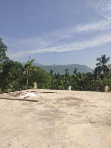 Un estacionamiento vacío con palmeras y montañas al fondo. en Diksha Home Stay, 