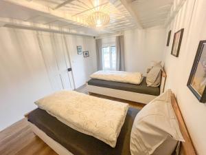 a bedroom with two beds and a chandelier at Apartment im Winkel in Reinach
