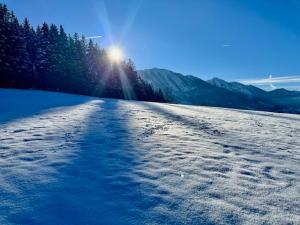 Природа в окрестностях апартаментов/квартиры