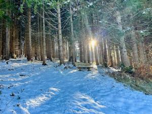 Zederberg Appartements зимой