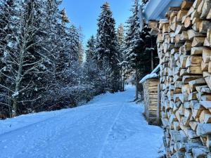 Zederberg Appartements зимой