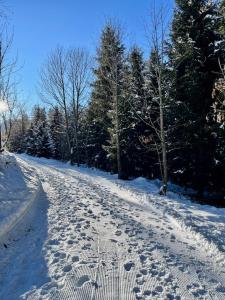 Zederberg Appartements зимой +91 фотография