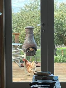 a chicken walking outside a door with a vase at Wanderers Cottage in Woodbridge