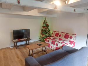 ein Wohnzimmer mit einem Weihnachtsbaum und einer Couch in der Unterkunft Au petit hameau Cabrespine in Cabrespine