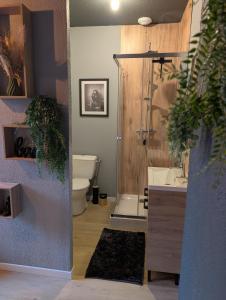 Φωτογραφία από το άλμπουμ του Duplex Le Glamour proche hyper centre σε Saint-Dizier